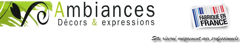 AMBIANCES décors et expressions Logo